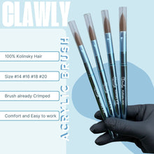 Load image into Gallery viewer, Clawly Pro Acrylic Brush